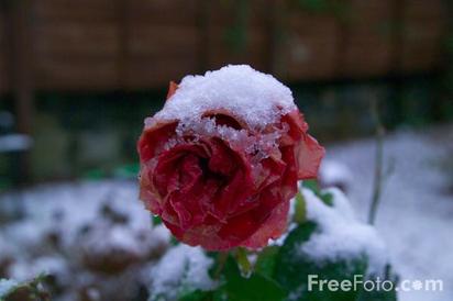 Solférino doit revoir sa copie